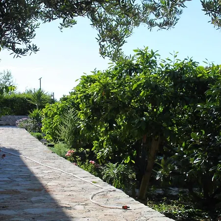 With Parking Space - Hvar - 8802