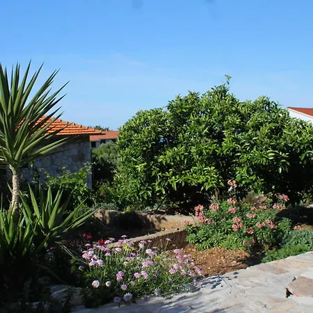 With Parking Space - Hvar - 8802 Apartmán