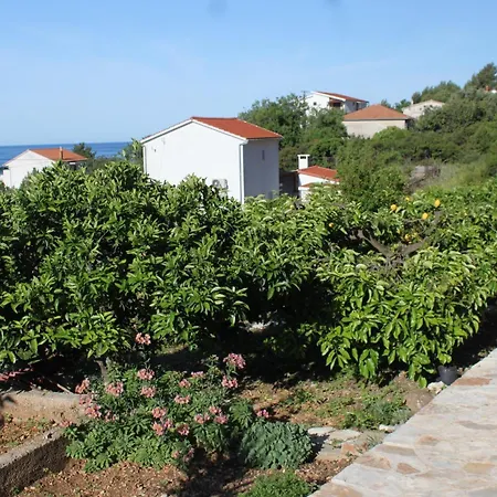 With Parking Space - Hvar - 8802 Apartmán Zavala
