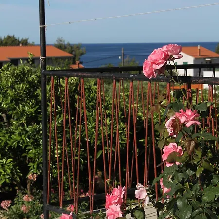 Apartmán With Parking Space - Hvar - 8802 Zavala
