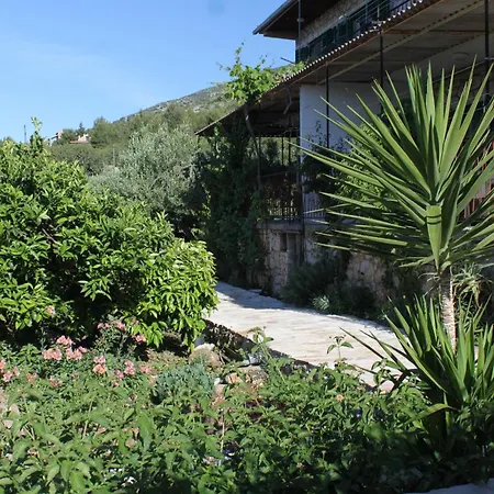 With Parking Space - Hvar - 8802 Apartmán Zavala